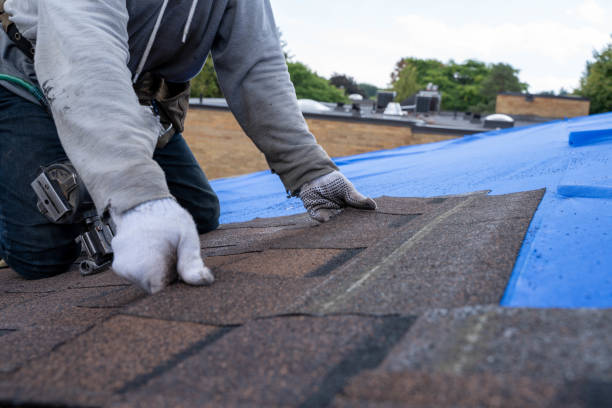 Best Metal Roofing Contractor  in Bean Station, TN
