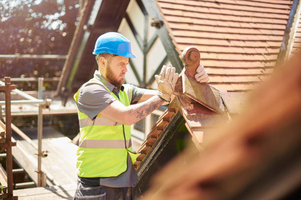 Best Roof Repair Specialists  in Bean Station, TN